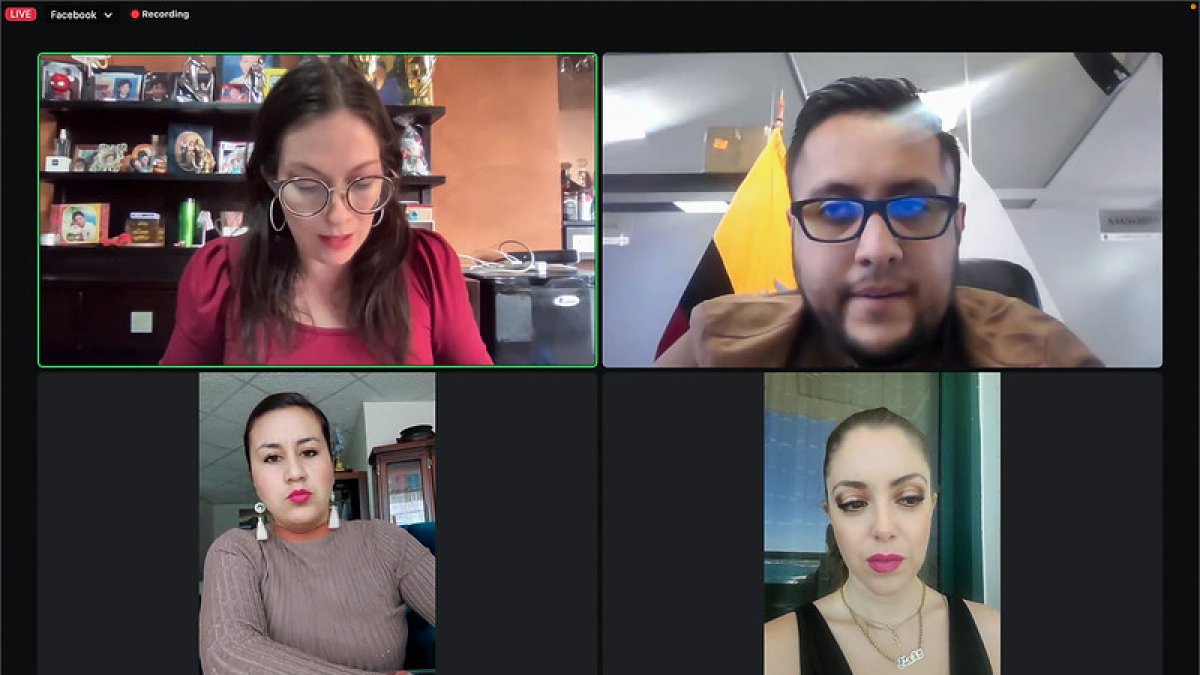 Sesión. La comisión fue convocada de forma virtual para tratar el tema.