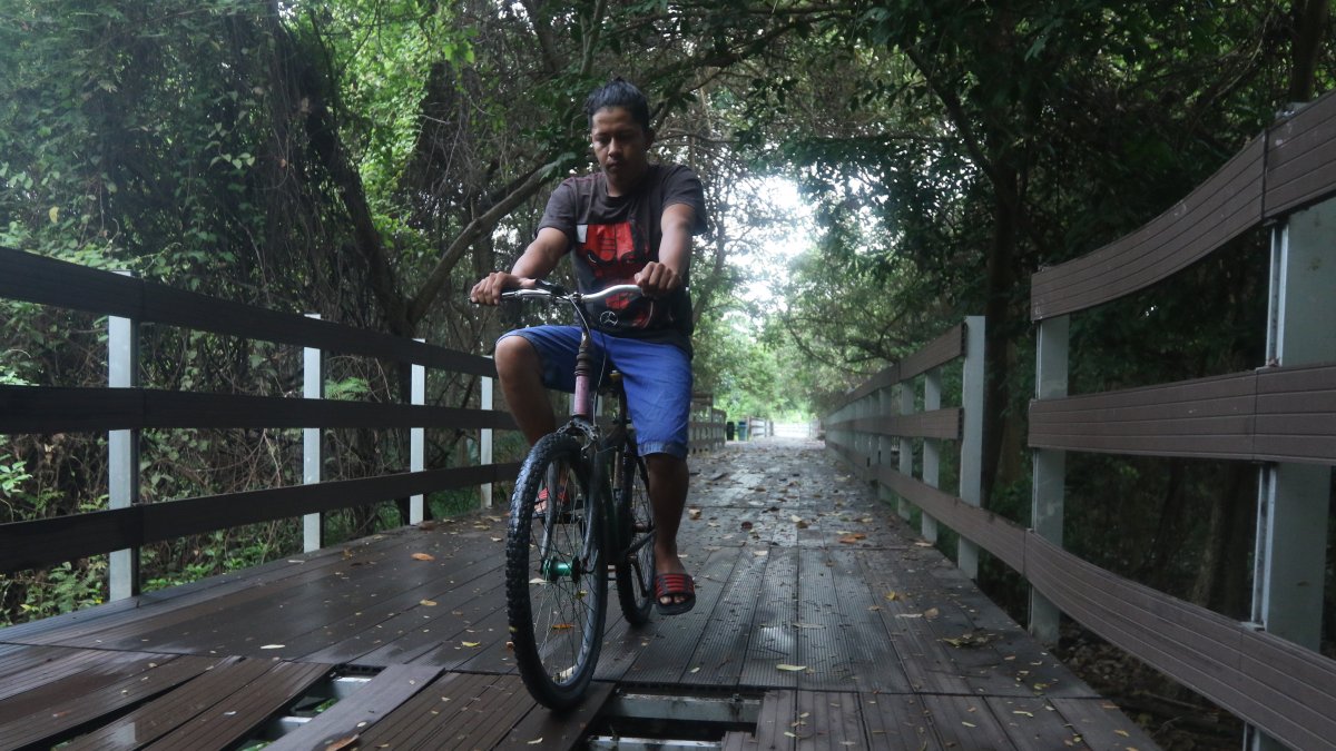 Las camineras de la isla Santay se encuentra en pésimo estado