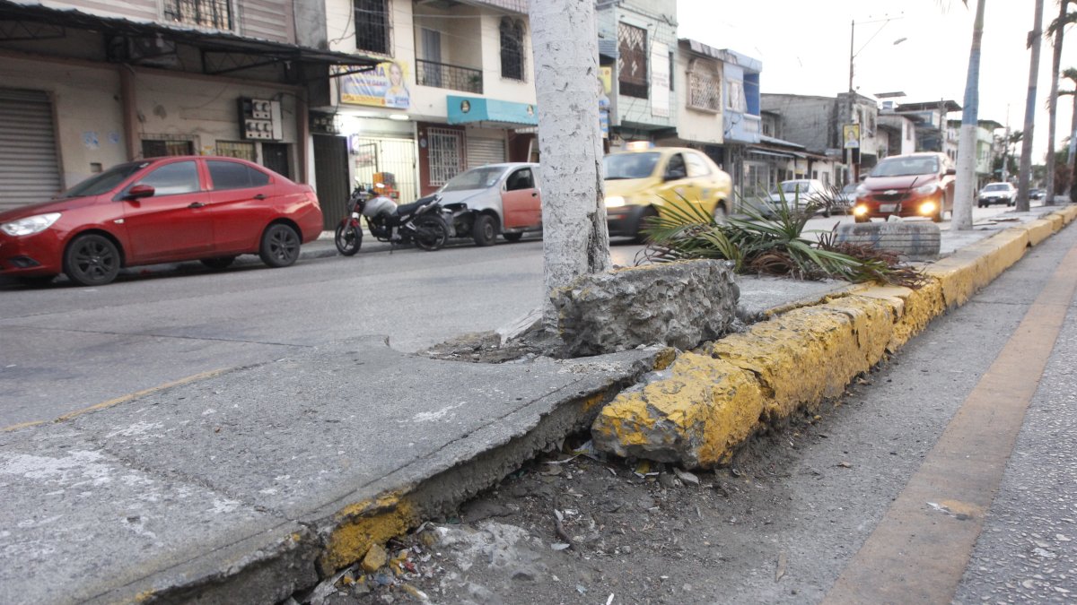 Este es el estado del parterre central de la calle Once.