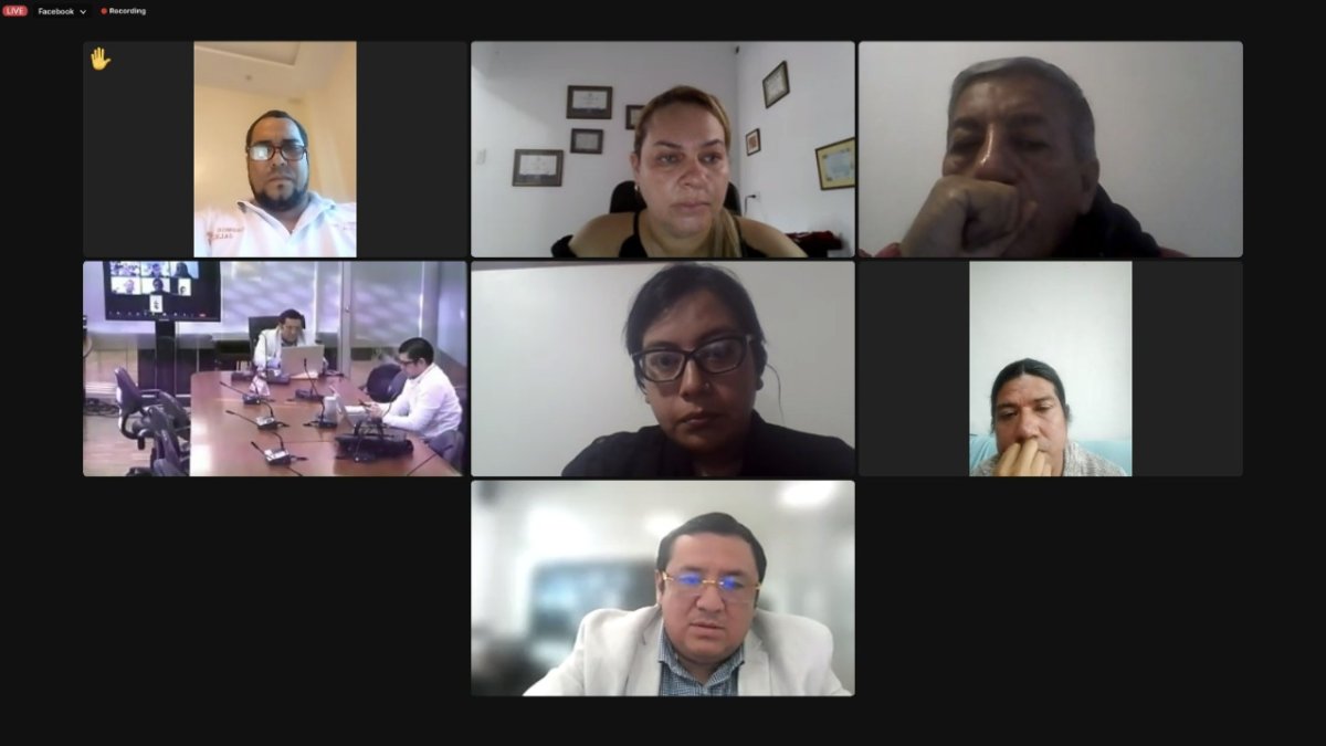 Legisladores de la comisión en sesión virtual.