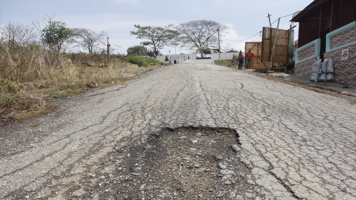 La vía que conduce al cementerio de la localidad no ha recibido mantenimiento.