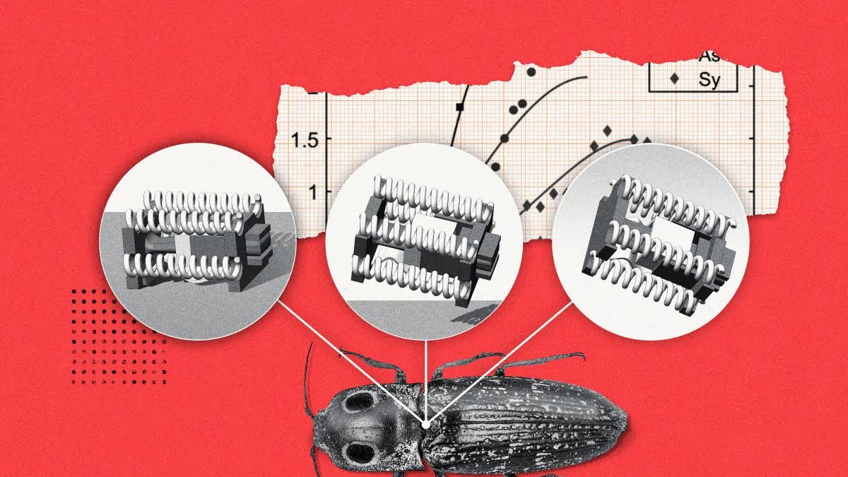 El profesor de ciencias mecánicas e ingeniería Sameh Tawfick ha dirigido un estudio en el que se presentan robots del tamaño de un escarabajo. Crédito: Michael Vincent. Imagen facilitada por la Universidad de Illinois en Urbana-Champaign.