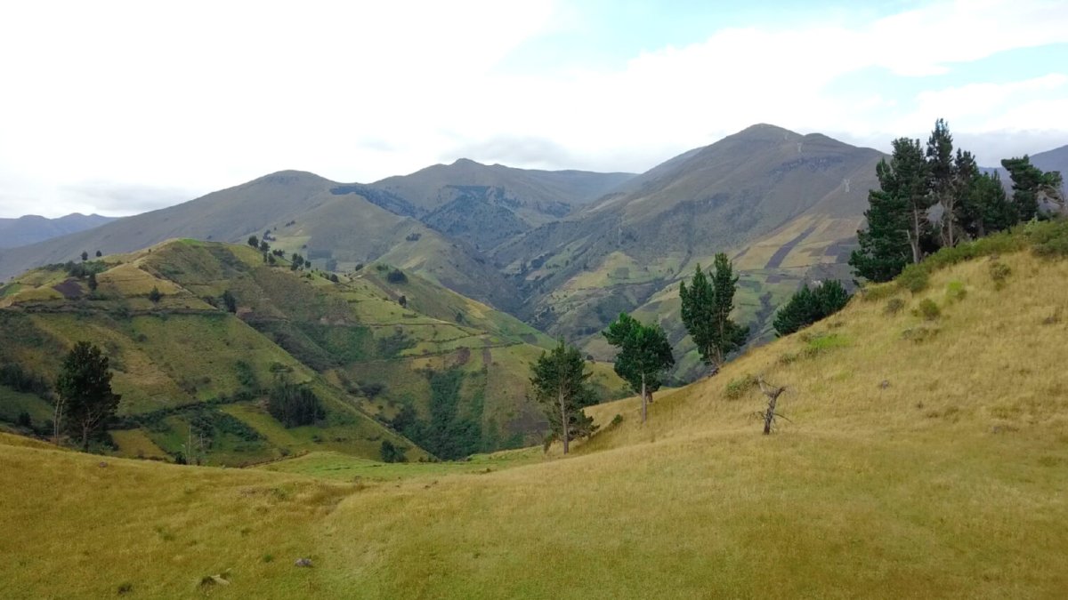 Vista parcial del área de protección hídrica de Quinllunga, en la provincia de Bolívar.