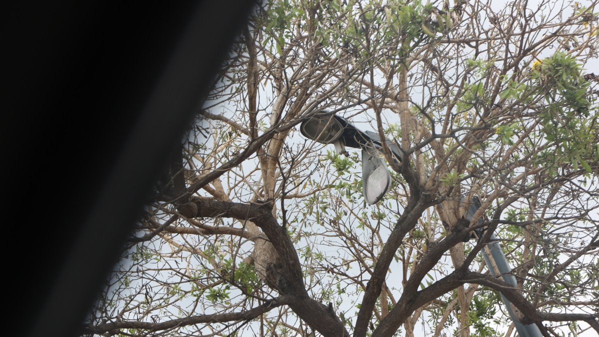 Solo haciendo un zoom es posible notar que una luminaria está detrás de los árboles.