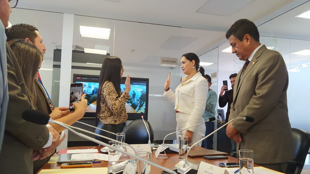 La Comisión Ocasional de la Asamblea Nacional tiene una conformación de mayoría opositora al Gobierno.