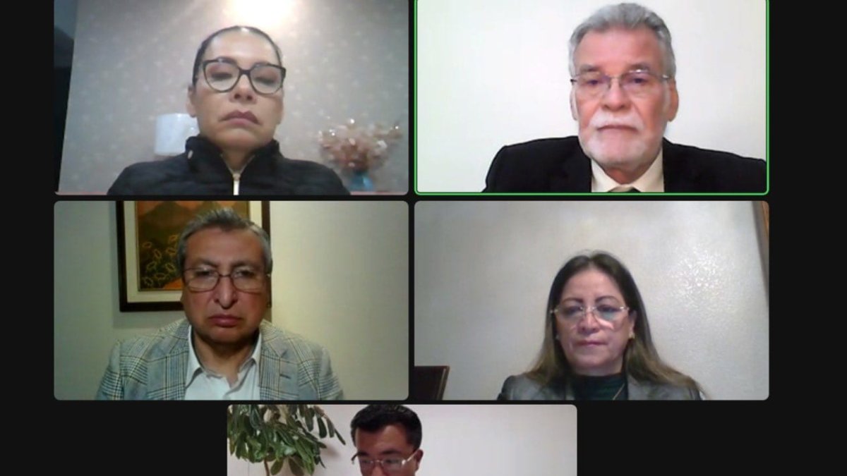 Reunión virtual de algunos integrantes del CNE.