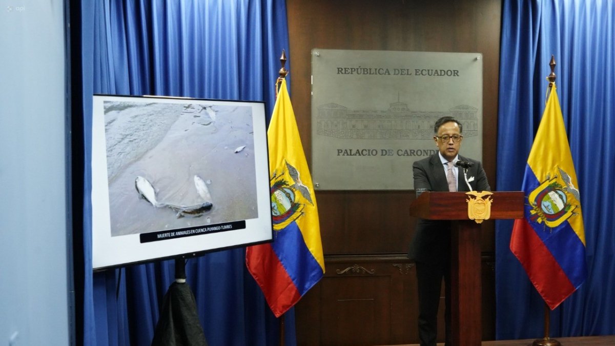 Anuncio. Diego Ordóñez informó la mañana de ayer las resoluciones emitidas por el Consejo de Seguridad.
