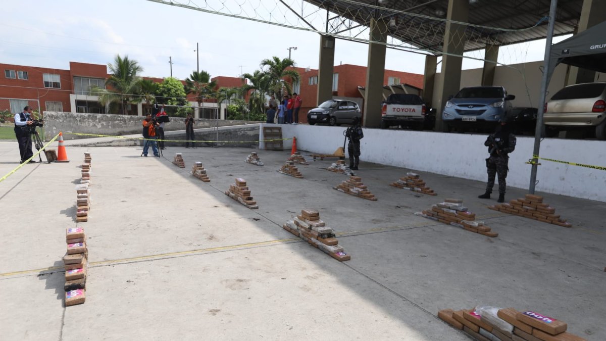 Hallan más de una tonelada de cocaína camuflada en palets dentro de un contenedor.