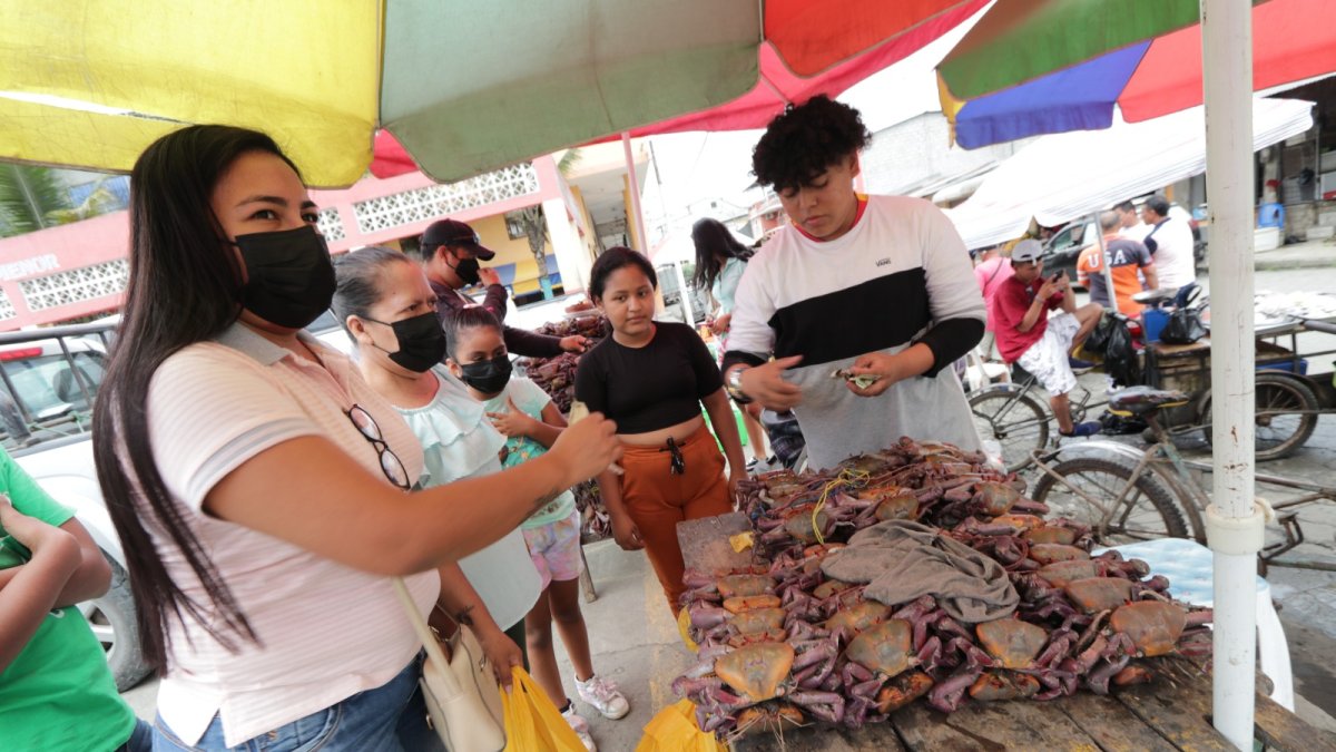 El cangrejo rojo y azul tienen dos períodos de veda durante el año.