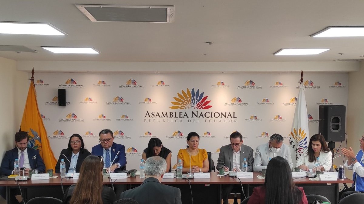 Esta instancia legislativa escucha diversas opiniones previo la elaboración de un informe.