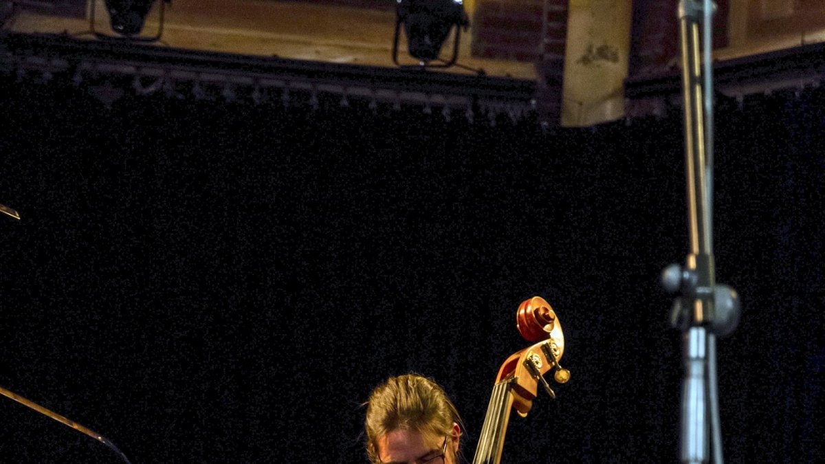 Actividad. El contrabajista Giovanni Bermúdez.