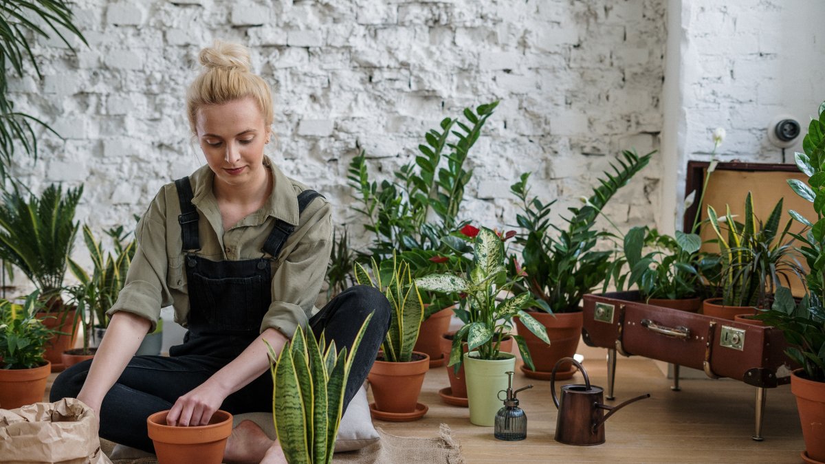 Actividad. Quienes practican jardinería se estresan menos.