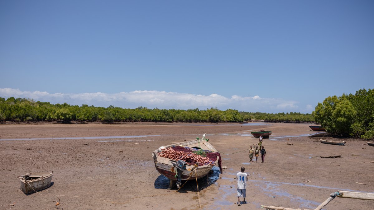 Según datos de la FAO la industria agroalimentaria es la responsable del 30 por ciento de las emisiones de gases de efecto invernadero.