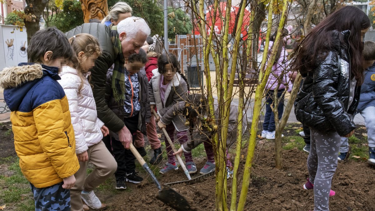 Su estudio halló asimismo que la sombra que proporcionan los árboles redujo las temperaturas urbanas en una media de 0,4 grados durante el verano.