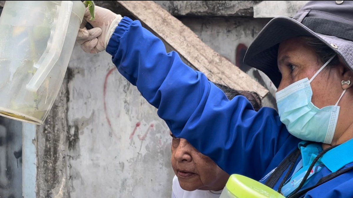 Personal del MSP realiza brigadas en la ciudad para identificar y eliminar criaderos de vectores.