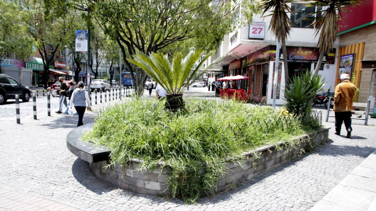 En la zona turística de Quito se pueden ver algunos jardines que no han sido atendidos.