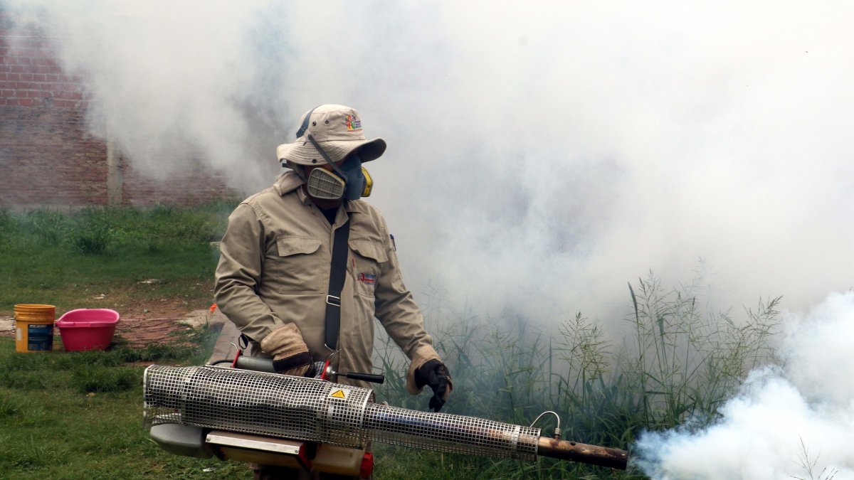 La epidemia en Santa Cruz está concentrada en los segmentos entre los 6 y 29 años de edad de las personas