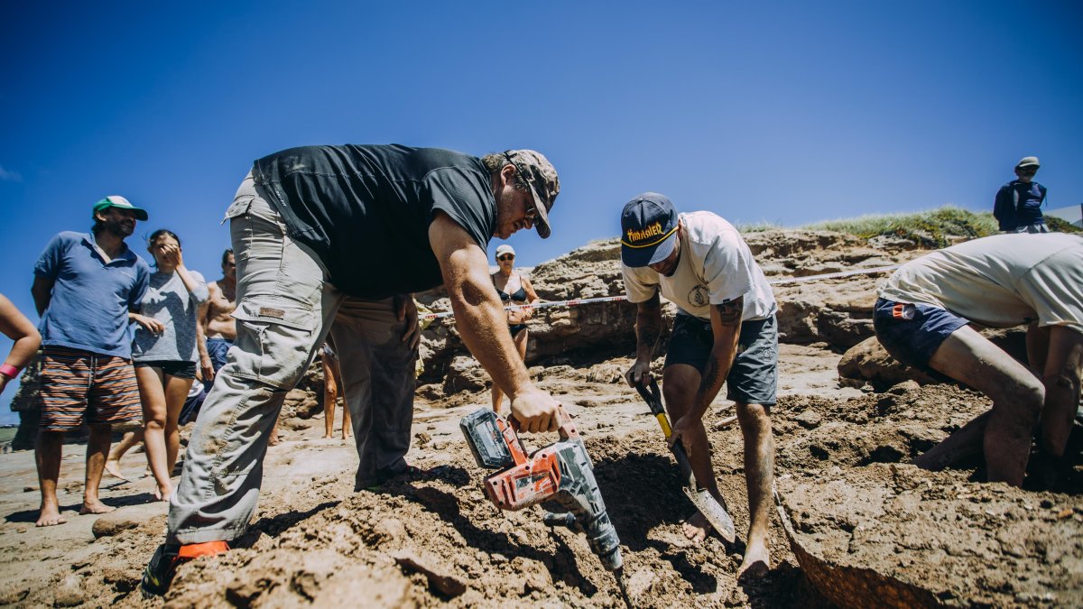 Hecho. Fotografía cedida por el Museo Municipal de Ciencias Naturales Lorenzo Scaglia que muestra a varios de sus expertos mientras desentierran los restos de dos gliptodontes.