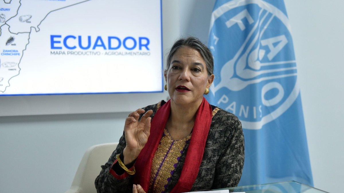 Estadounidense representante Regional Adjunta para América Latina y el Caribe de la Organización de las Naciones Unidas para la Alimentación y la Agricultura (FAO).