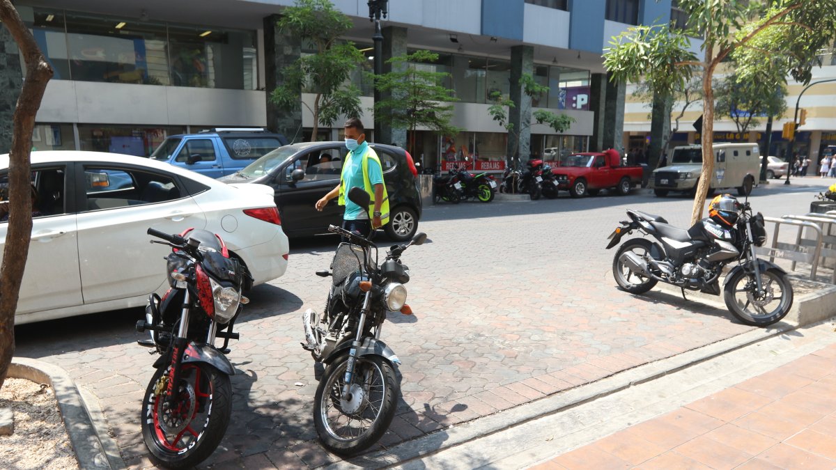 Es normal verlos discutir con los conductores