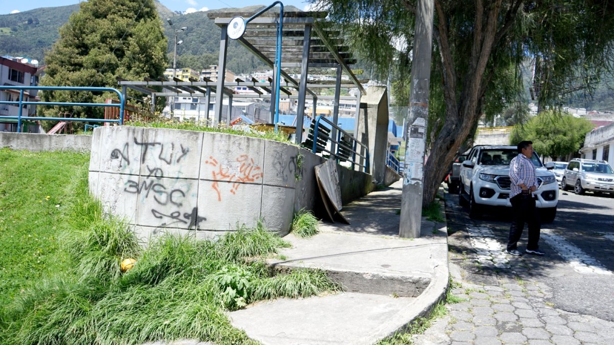 En la calle Selvalegre se puede ver cómo el césped se ha apoderado de buena parte de la vereda.