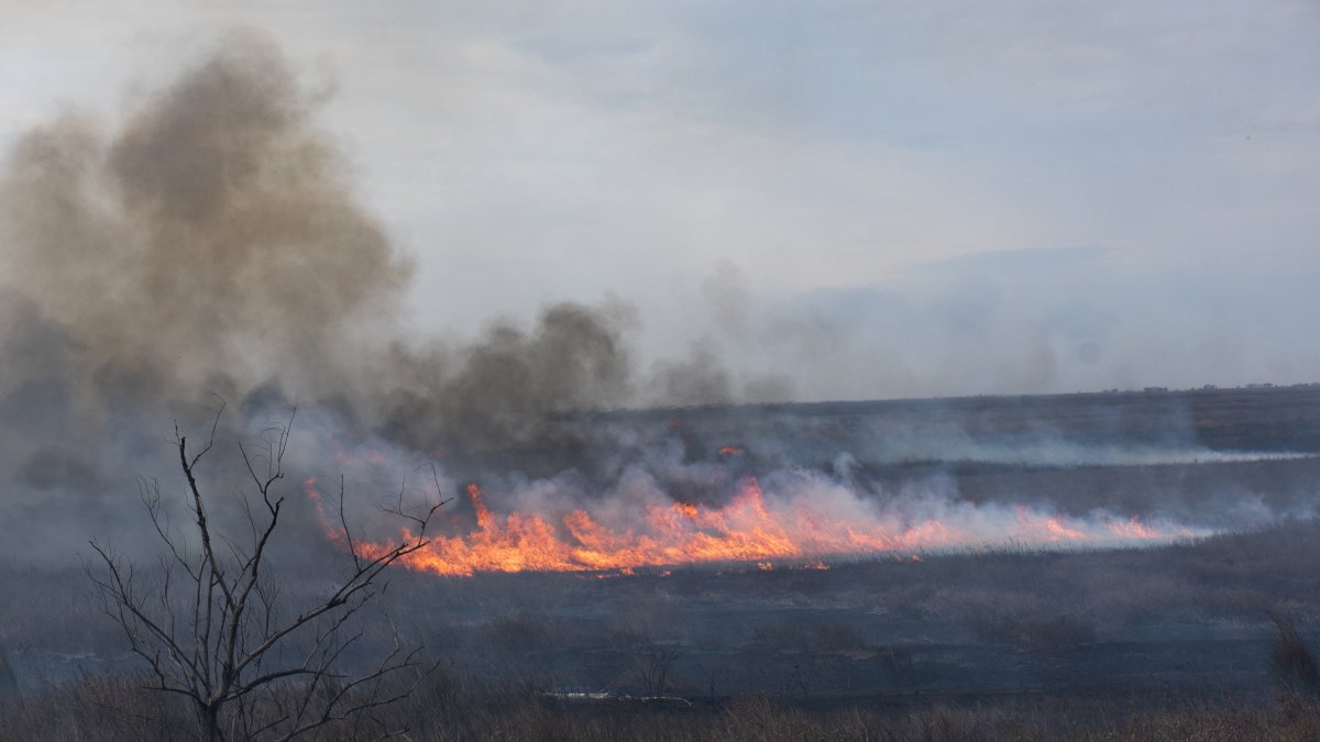 Vista los incendios forestales, en una fotografía de archivo.