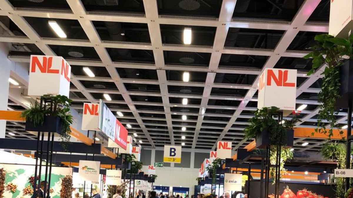 Fruit Logistic abrio sus puertas al público.