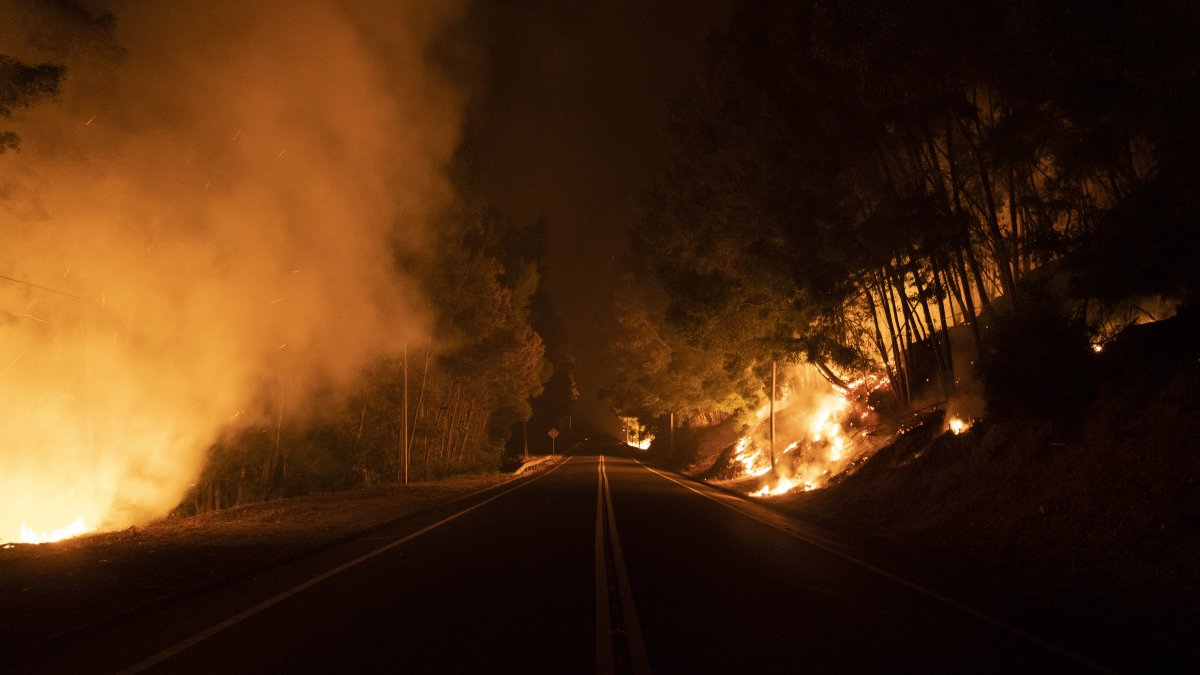 Ha sido imposible poder controlar los incendios en el centor y sur de Chile.