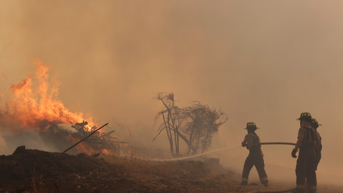 Bomberos combaten hoy un incendio forestal en sector Rinconada de la comuna de Quillón, región de Ñuble (Chile). EFE/  