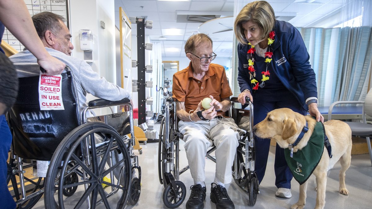 Miami. Un registro de la perra Harmony al acompañar a pacientes del Centro Médico Jackson North.