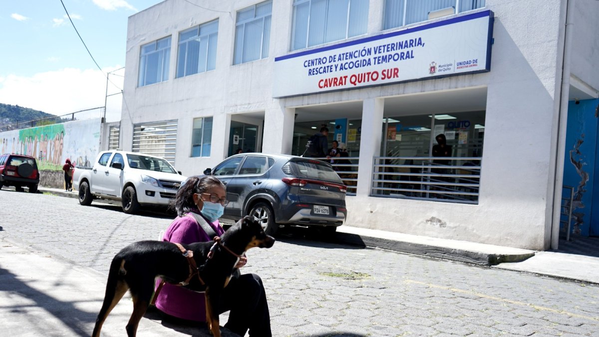 Espera. Esta mujer tiene el turno 29. Llegó a las 07:00 y esperó al menos cinco horas para ser atendida. Esto debido a la alta demanda de pacientes de cuatro patas que llegan a estos sitios.