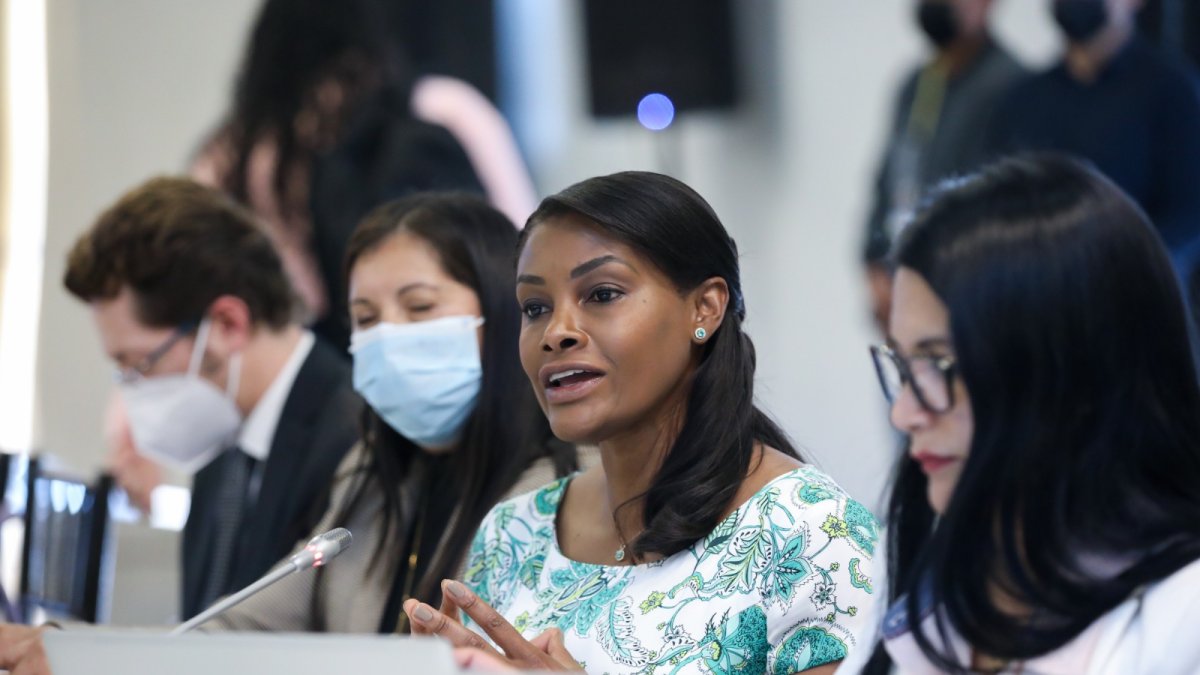 Comparecencia. Diana Salazar, fiscal general, asistió a la comisión