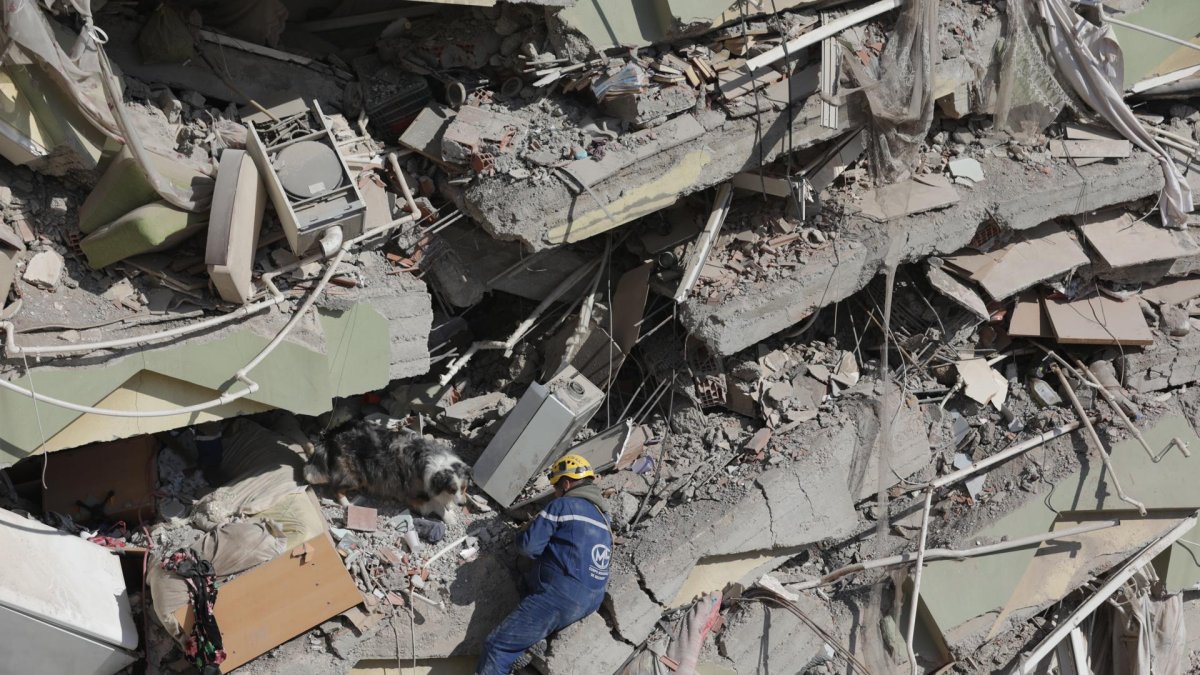 El equipo de rescate francés Corps Mondial de Secours con su perro de búsqueda busca supervivientes del terremoto entre los escombros de un edificio derrumbado en Kahramanmaras, Turquía, el 11 de febrero de 2023.