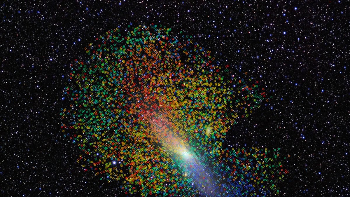 Investigadores han descubierto nuevas 