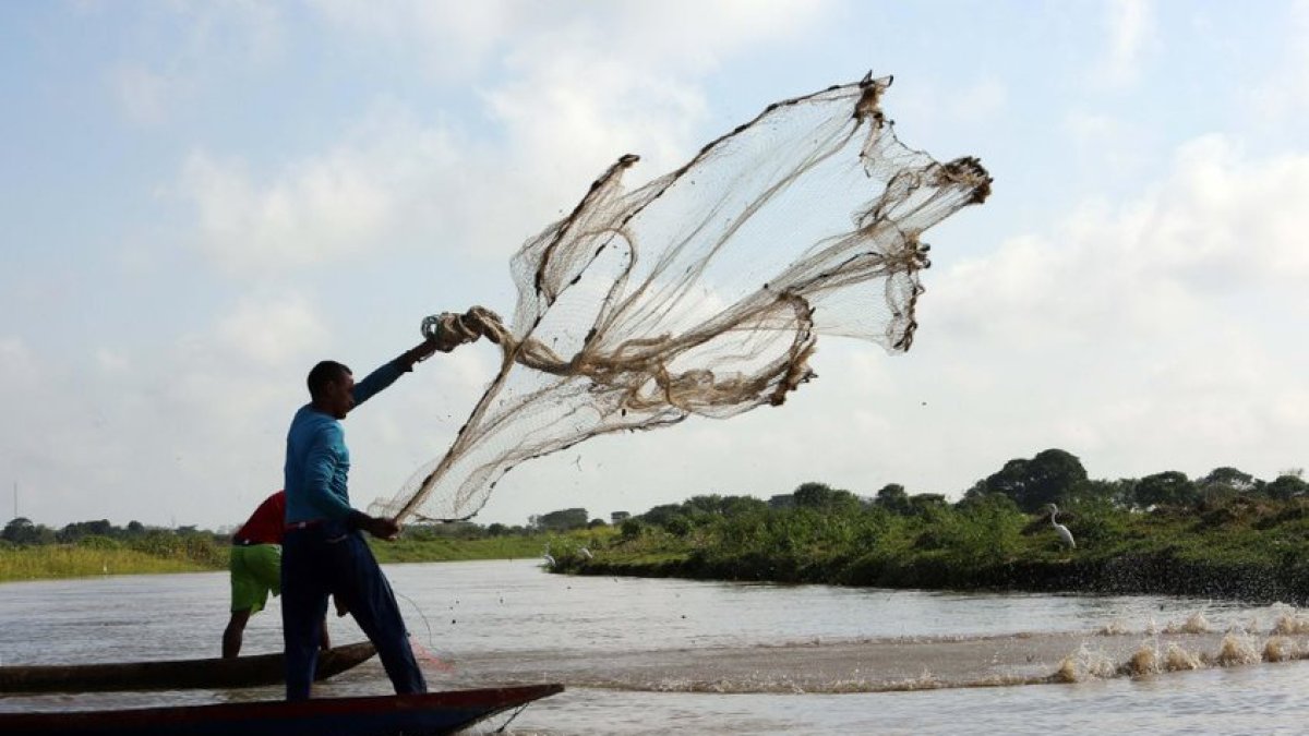 Artesanal.  Pescadores en la carretera que comunica a Barranquilla con Santa Marta, en la Isla de Salamanca.