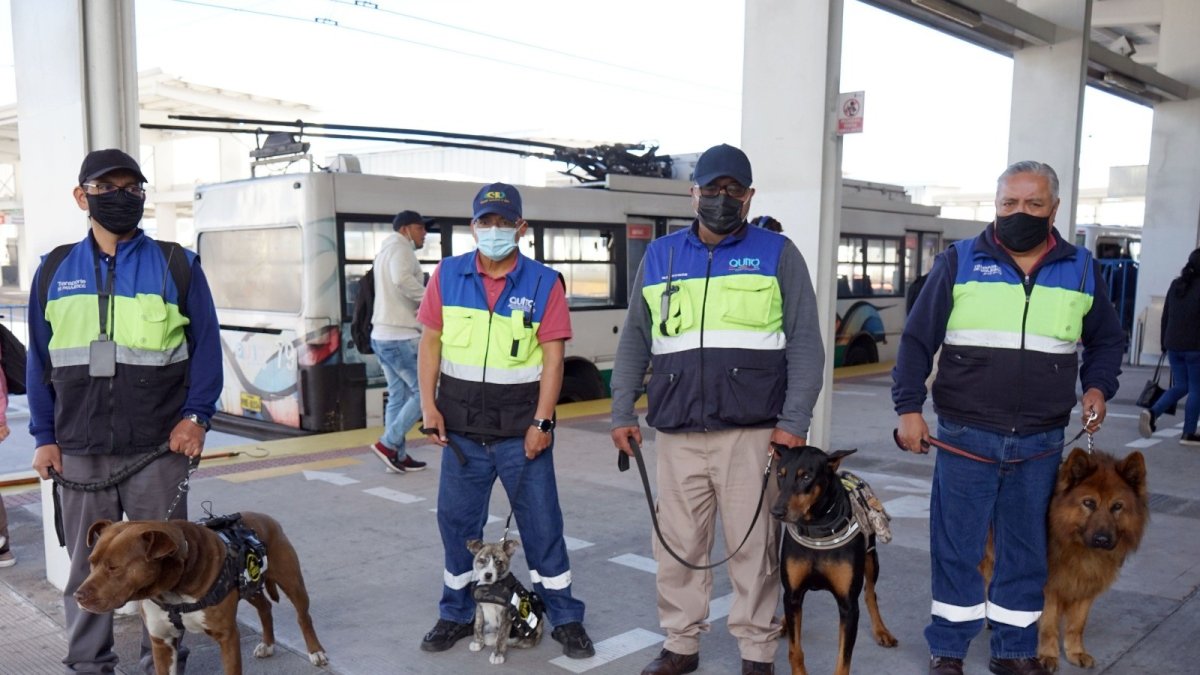 Actividad. Algunos de los animales pasaron a ser parte de la brigada canina.