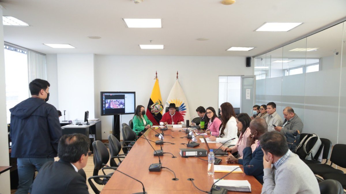 Esta es la segunda denuncia que el Comité de Ética procesa en contra de Guadalupe Llori.