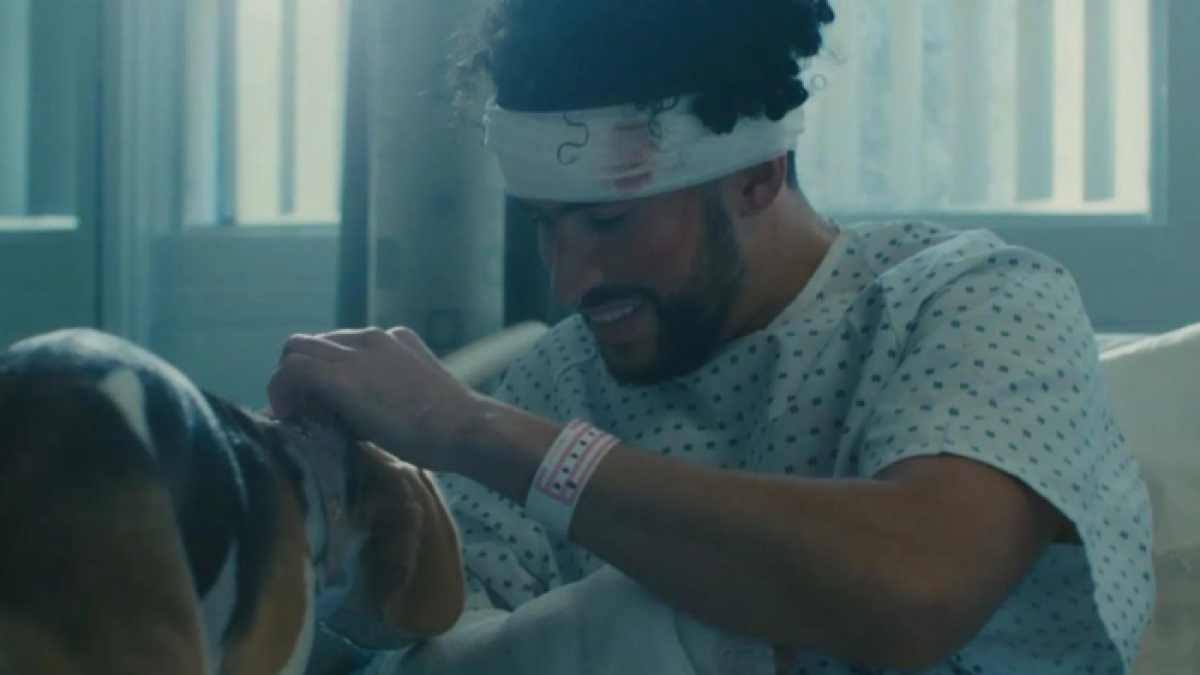 En uno de los lives que hizo el puertorriqueño el año pasado, celebrando el éxito del álbum, dijo que la canción la había escrito inspirado en su perrito.