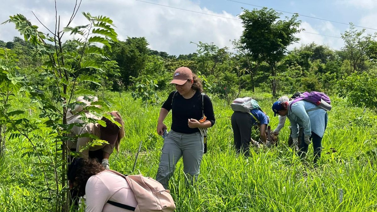 Los estudiantes participaron en la siembra de árboles.