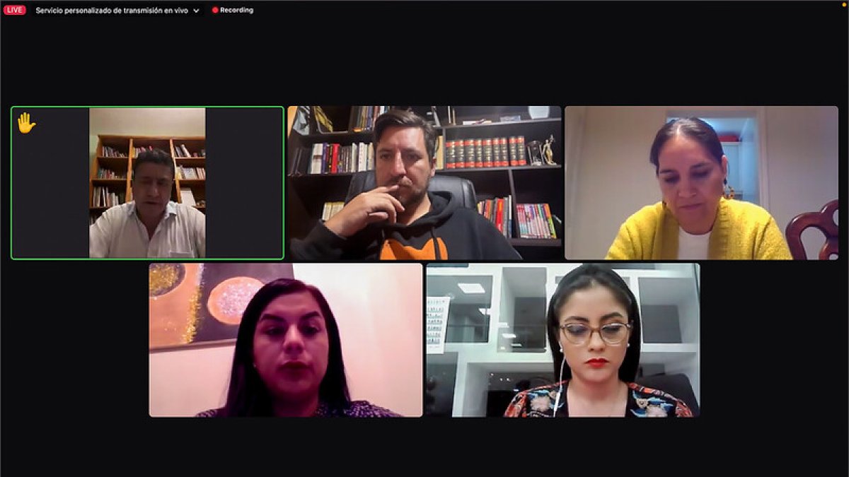 La petición de prórroga de la legisladora Pazmiño se aprobó en la sesión  17 de la comisión ocasional.