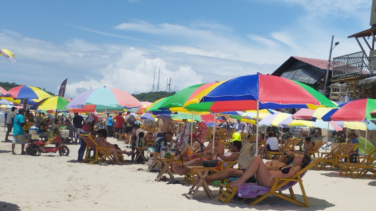 Impresionante avalancha de visitantes.