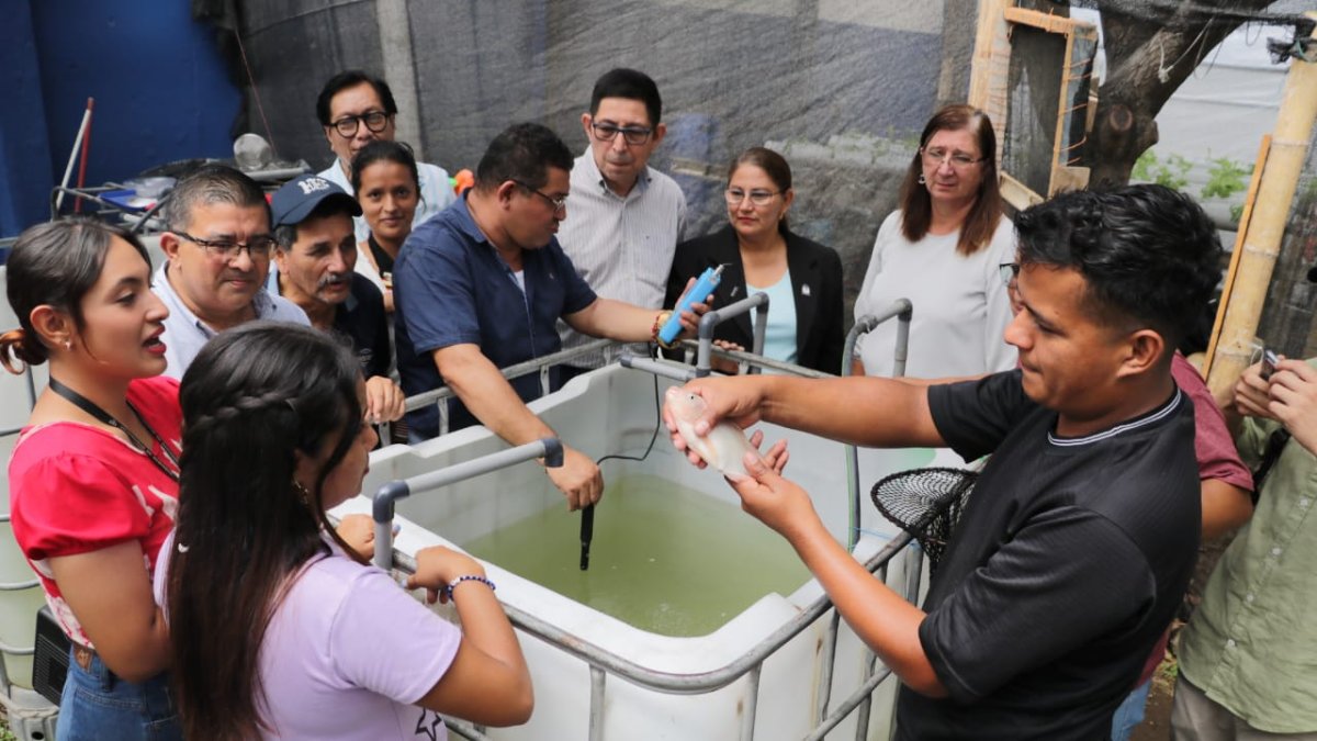 Estanques. El equipo de trabajo alimenta a los peces con el nuevo producto elaborado.