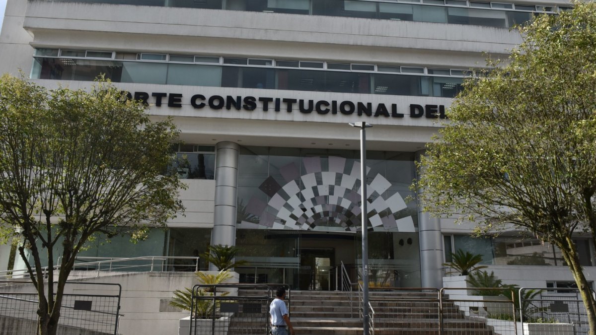 Observación. Los miembros tiene previsto revisar los fallos constitucionales y su impacto en la política pública.