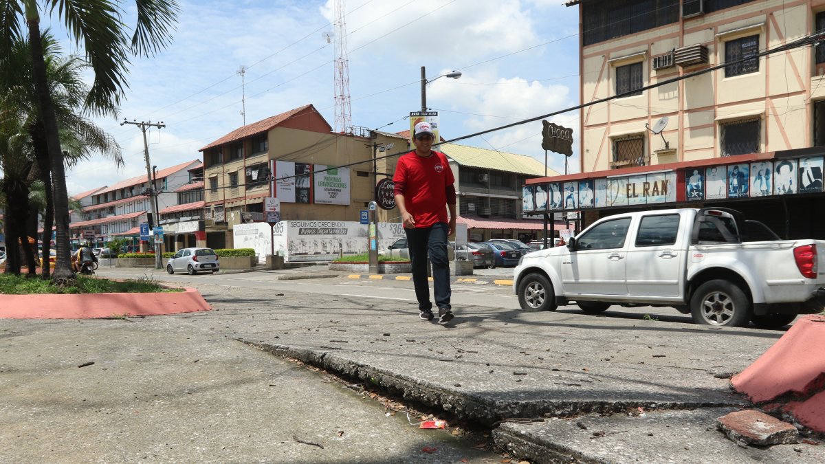 En la avenida Luis Plaza Dañín las raíces llegan hasta la calzada.