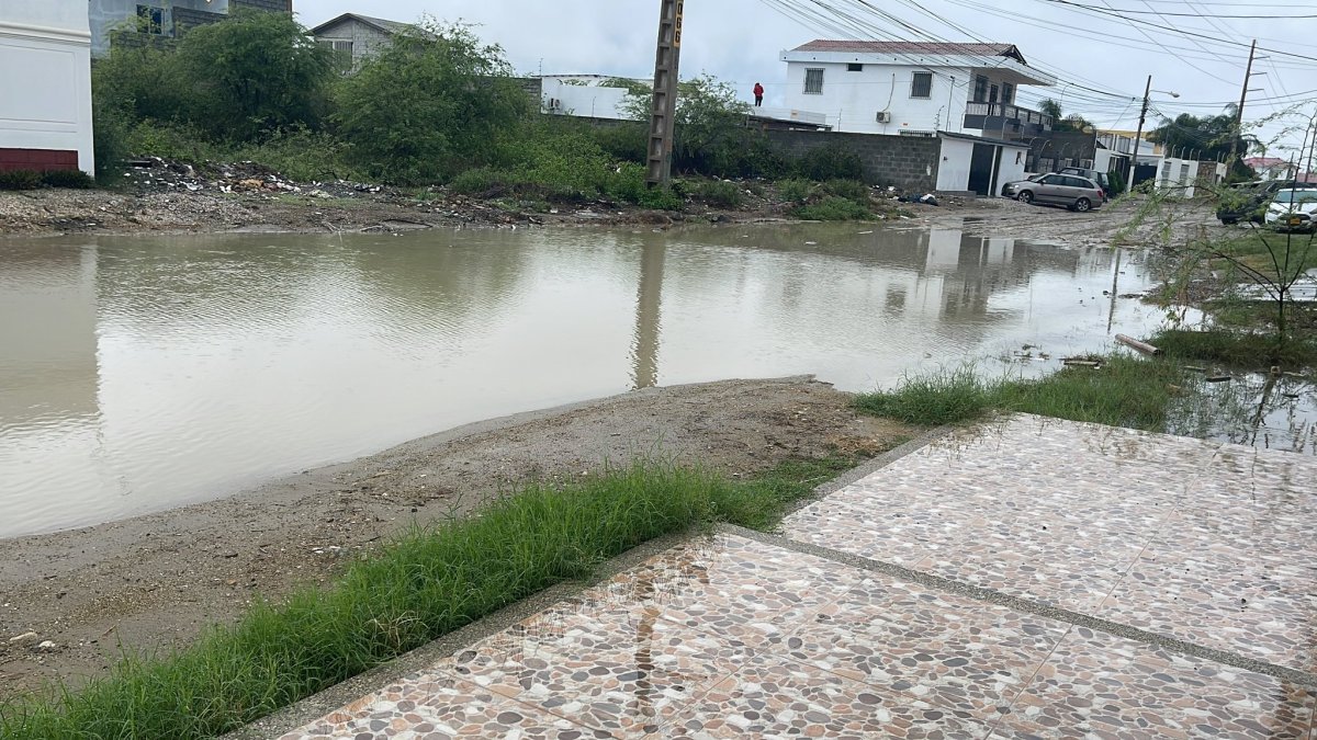 Algunas urbanizaciones también se han visto afectadas.