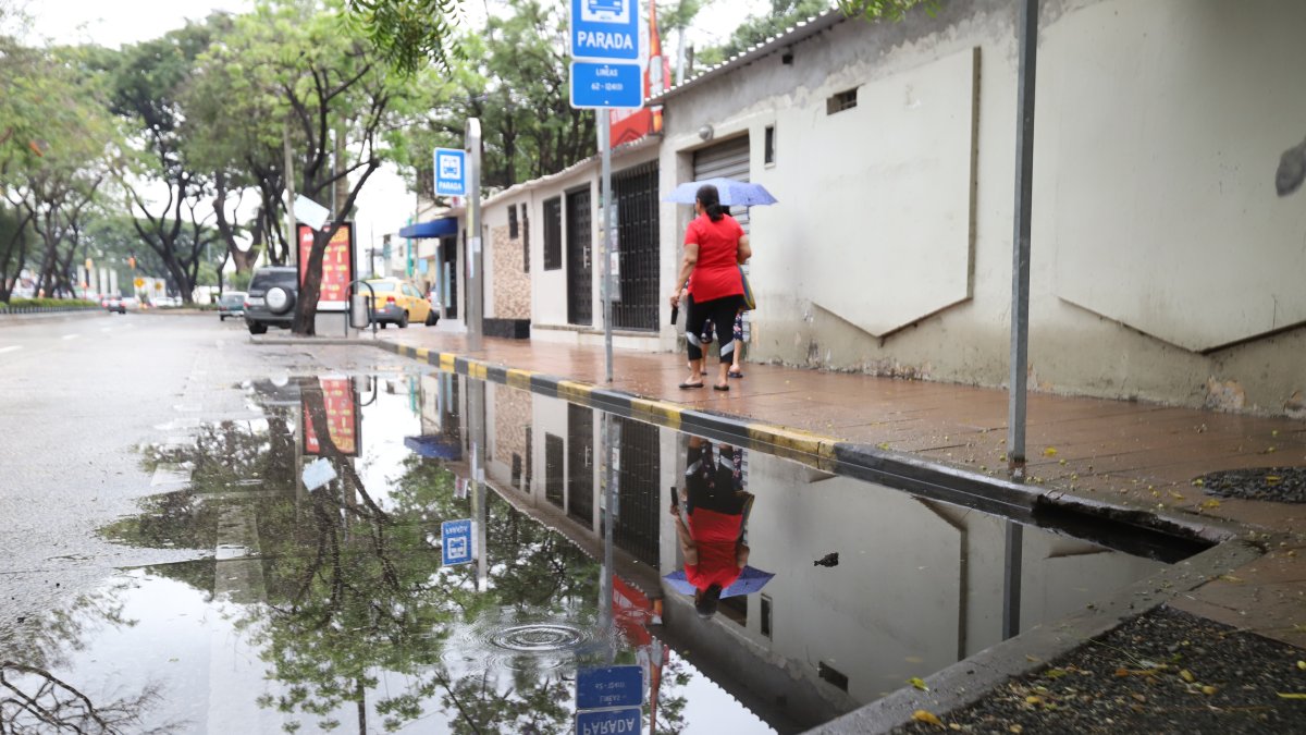 Hay zonas que están inundadas constantemente