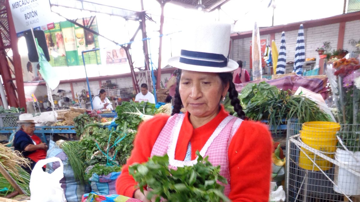 Cuenca. En la capital azuaya se ofertan mucho las plantas medicinales.