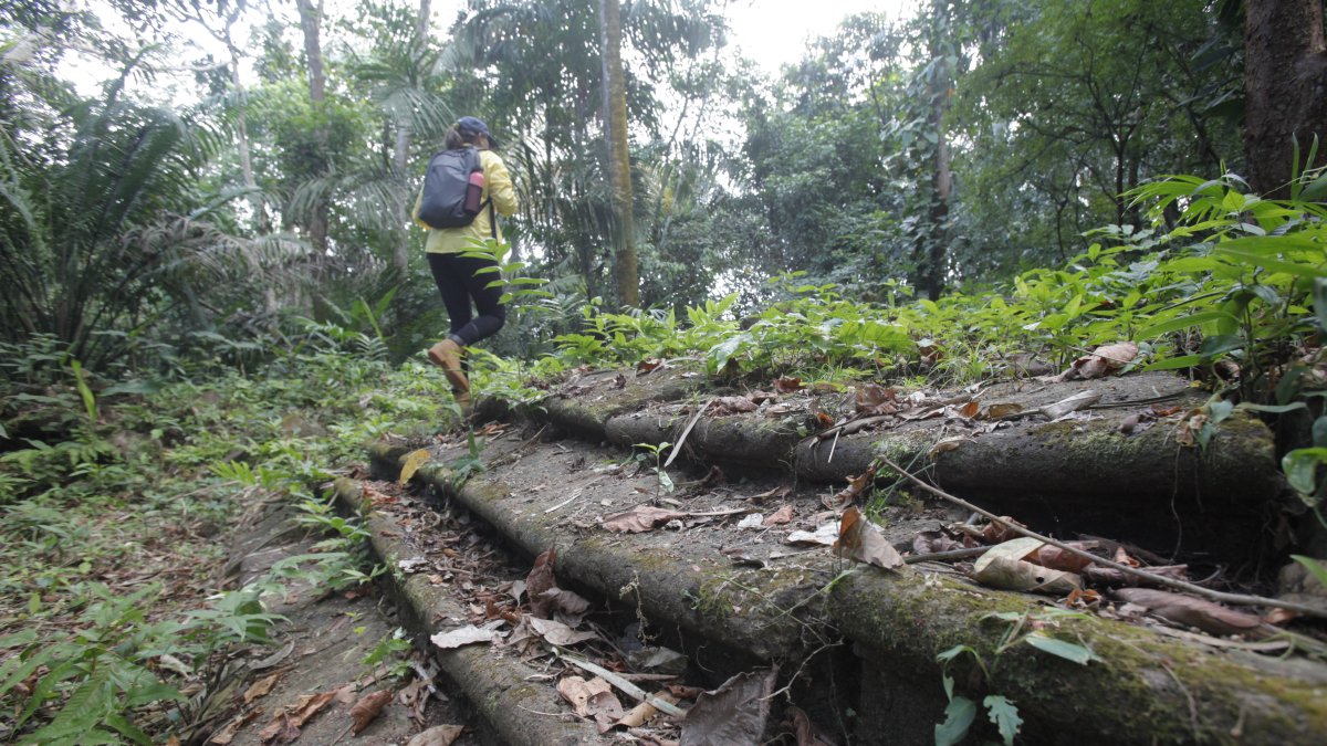 Paso. Una persona mientras recorre Venta de Cruces, en medio de la tupida selva panameña.