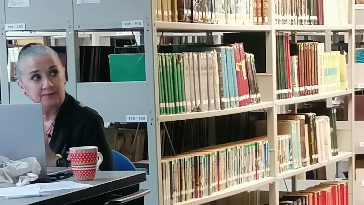 Una charla que revisa el rol del bibliotecario en un mundo digitalizado.