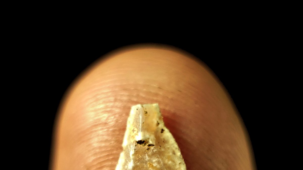 Puntas diminutas hechas por el Homo sapiens hace 54.000 años y utilizadas como punta de flecha.